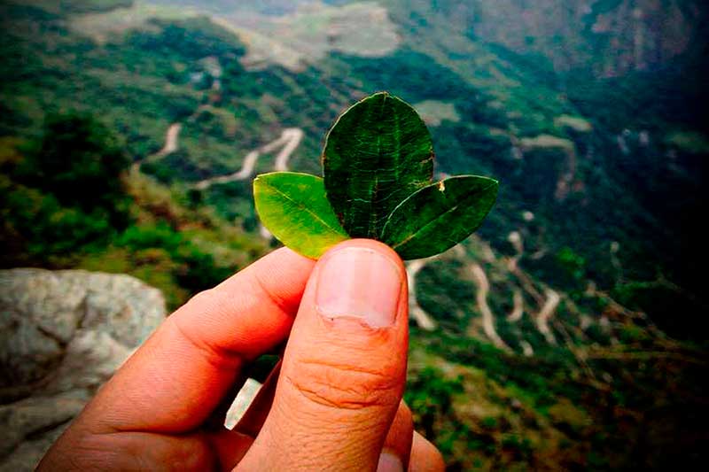 Mollepata Bus Tickets